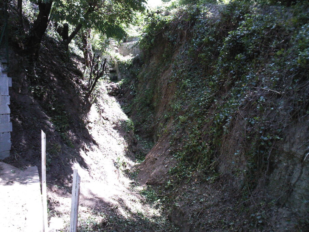 Débroussaillage d’un vallon boisé